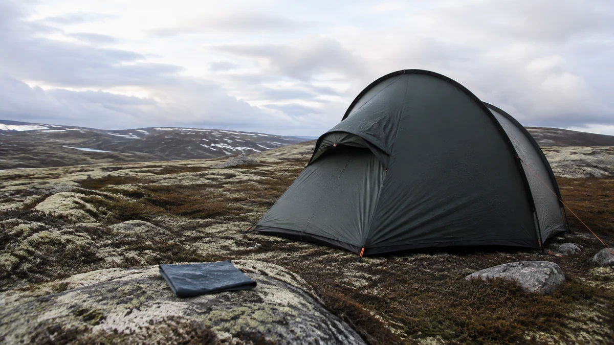 Mørkt turtelt på en regnvåt norsk fjellvidde